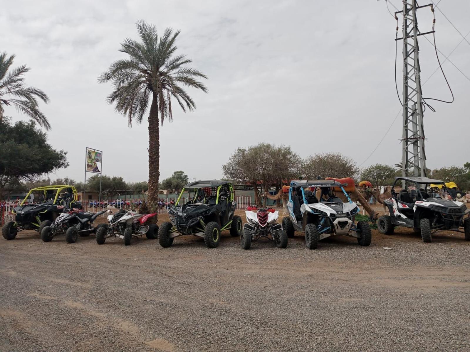 Quad Marrakech Marraquexe Exterior foto
